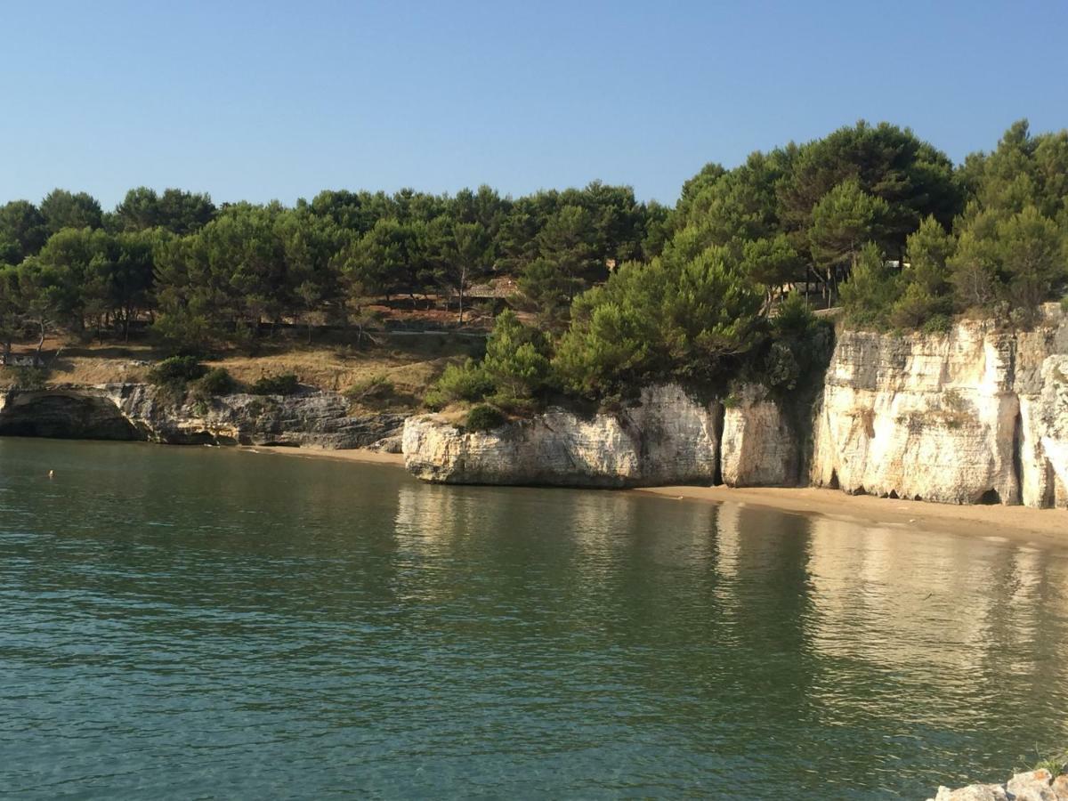 La Casa Nel Borgo Daire Vieste Dış mekan fotoğraf