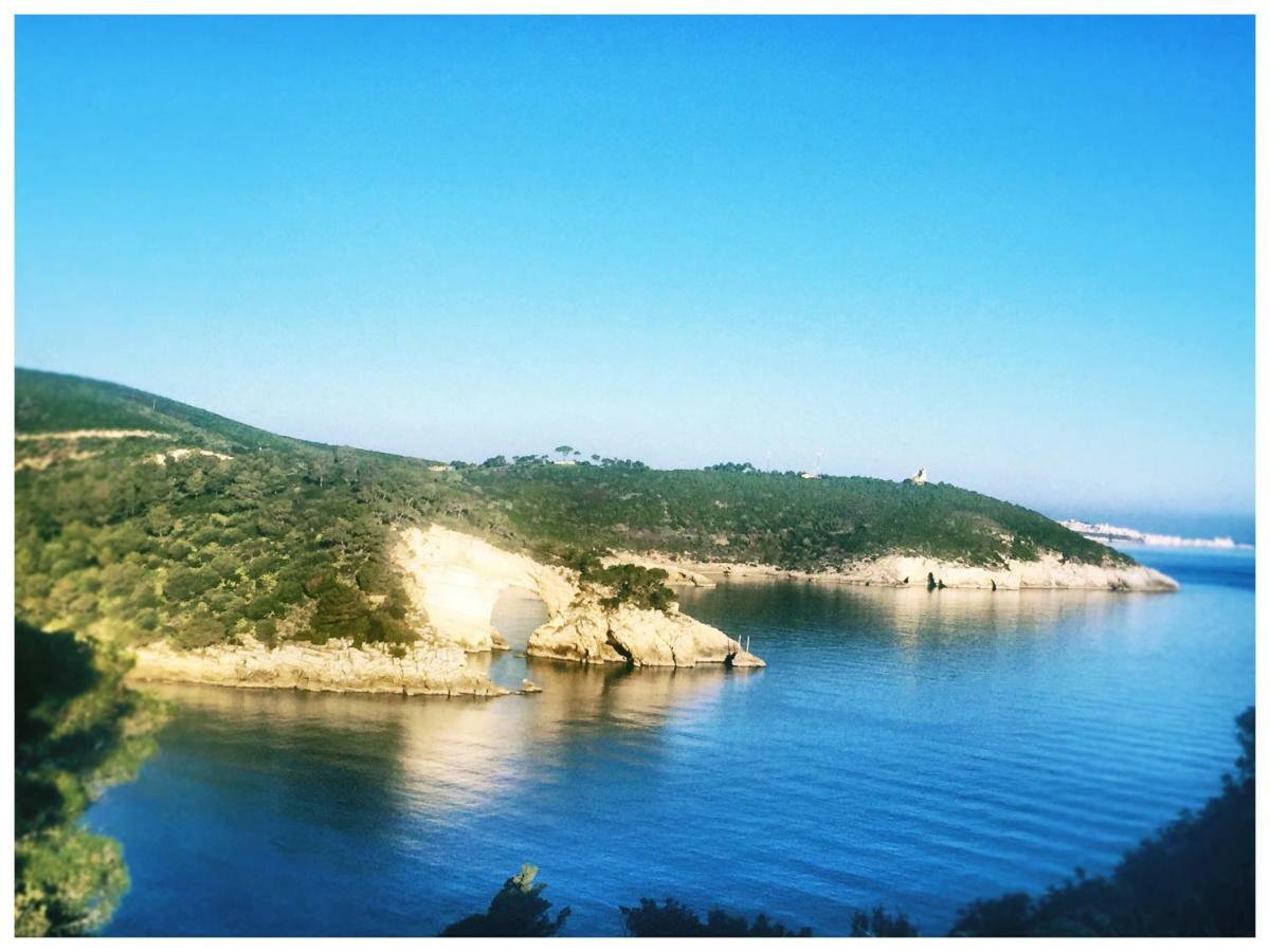 La Casa Nel Borgo Daire Vieste Dış mekan fotoğraf